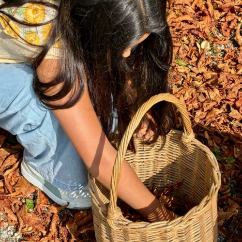 TAFF Kooperation Heimisch (w)erden SZ2025/26